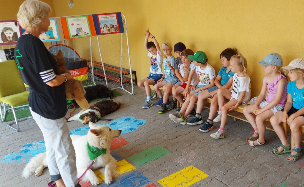  Besuchshunde im Kindergarten - Hundefreunde Schorndorf e.V. Motiv 